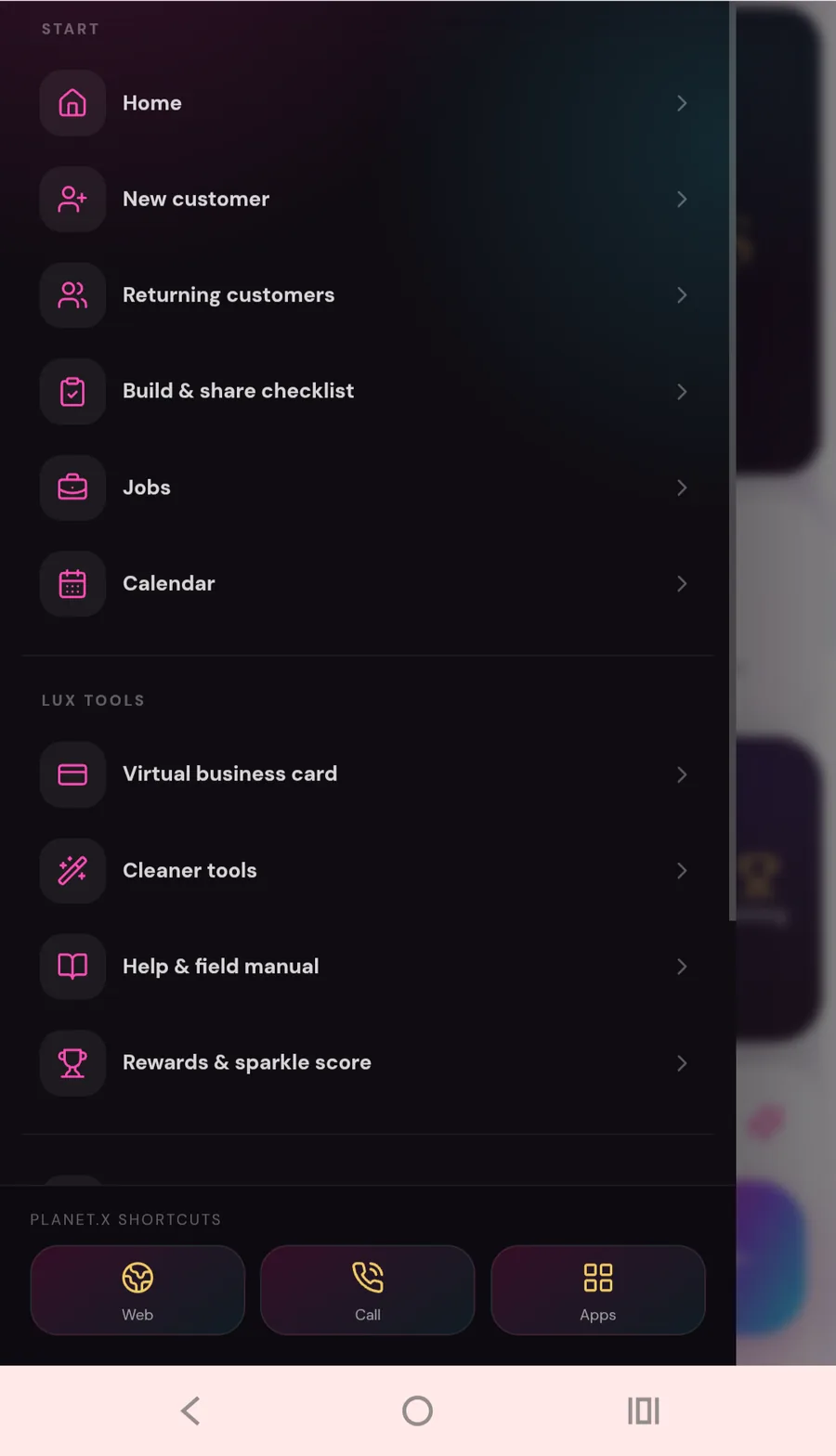 Lux Cleaners by Marina preview
